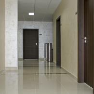 Офис компании ООО «Папилио»